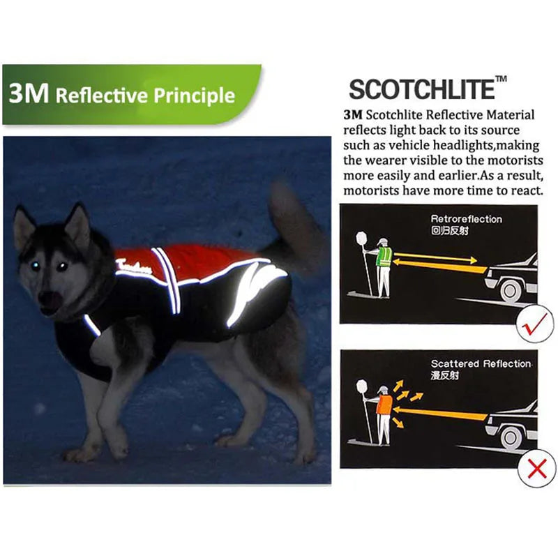 Chaleco Impermeable Reflectante para Perros, Ideal para Caminatas al Aire Libre