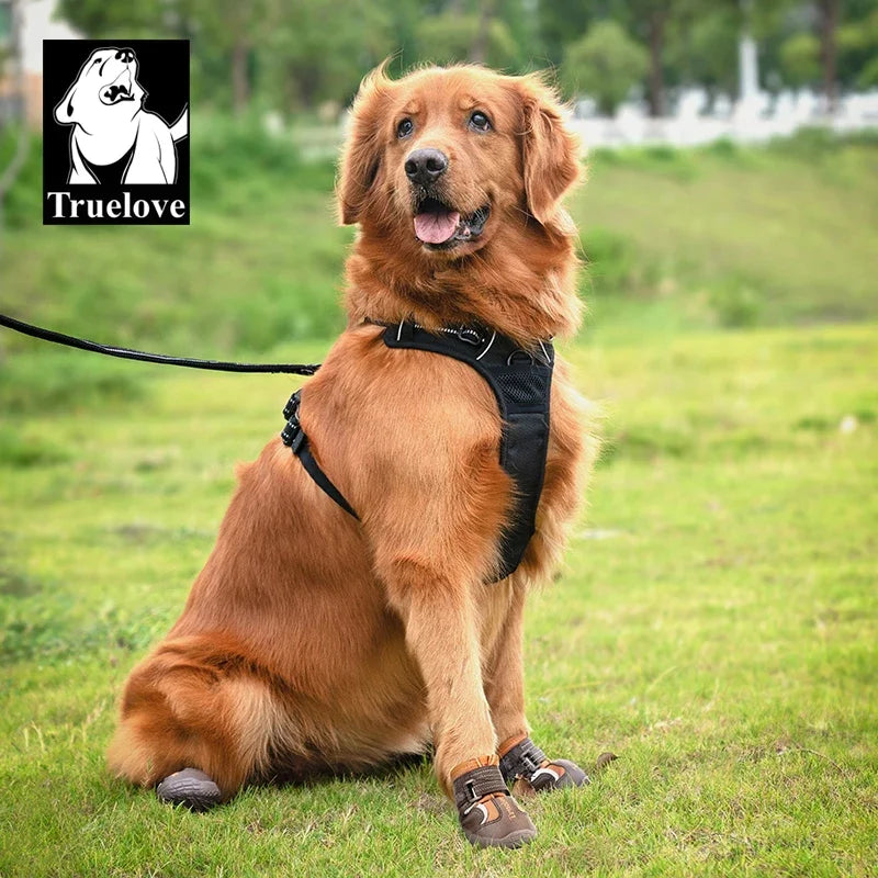 Zapatos Impermeables para Perros Medianos y Grandes - Suela TPR | TLS3963